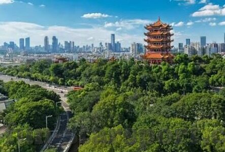 足球比分网皇冠-深度剖析，足球比分网皇冠——球迷的数字战场与数据宝库